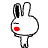 可白兔子