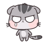 小灰猫