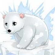 北极熊可爱头像图片11