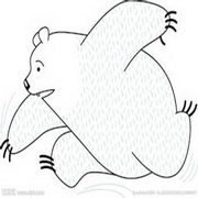北极熊可爱头像图片37