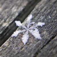 雪花冬天雪景雪花符号头像图片11
