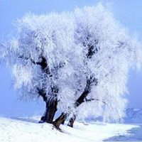 雪花冬天雪景雪花符号头像图片29