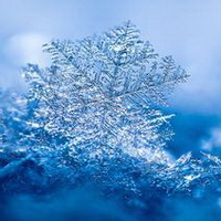 雪花冬天雪景雪花符号头像图片32