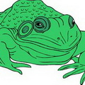 卡通青蛙可爱头像图片20