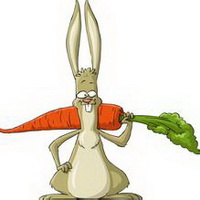 可爱卡通兔子头像图片36