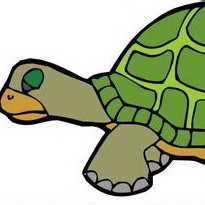 卡通乌龟可爱头像图片27