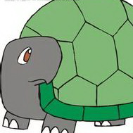 卡通乌龟可爱头像图片28