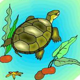 卡通乌龟可爱头像图片29