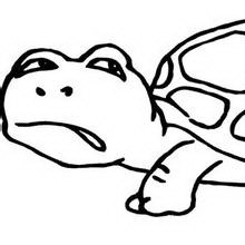 卡通乌龟可爱头像图片31