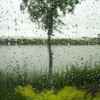 下雨天伤感唯美雨天打伞头像图片1
