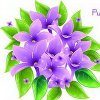 紫罗兰花头像图片26